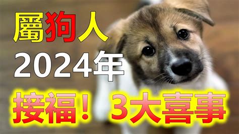 屬狗的小人|生肖狗2021年運勢大全